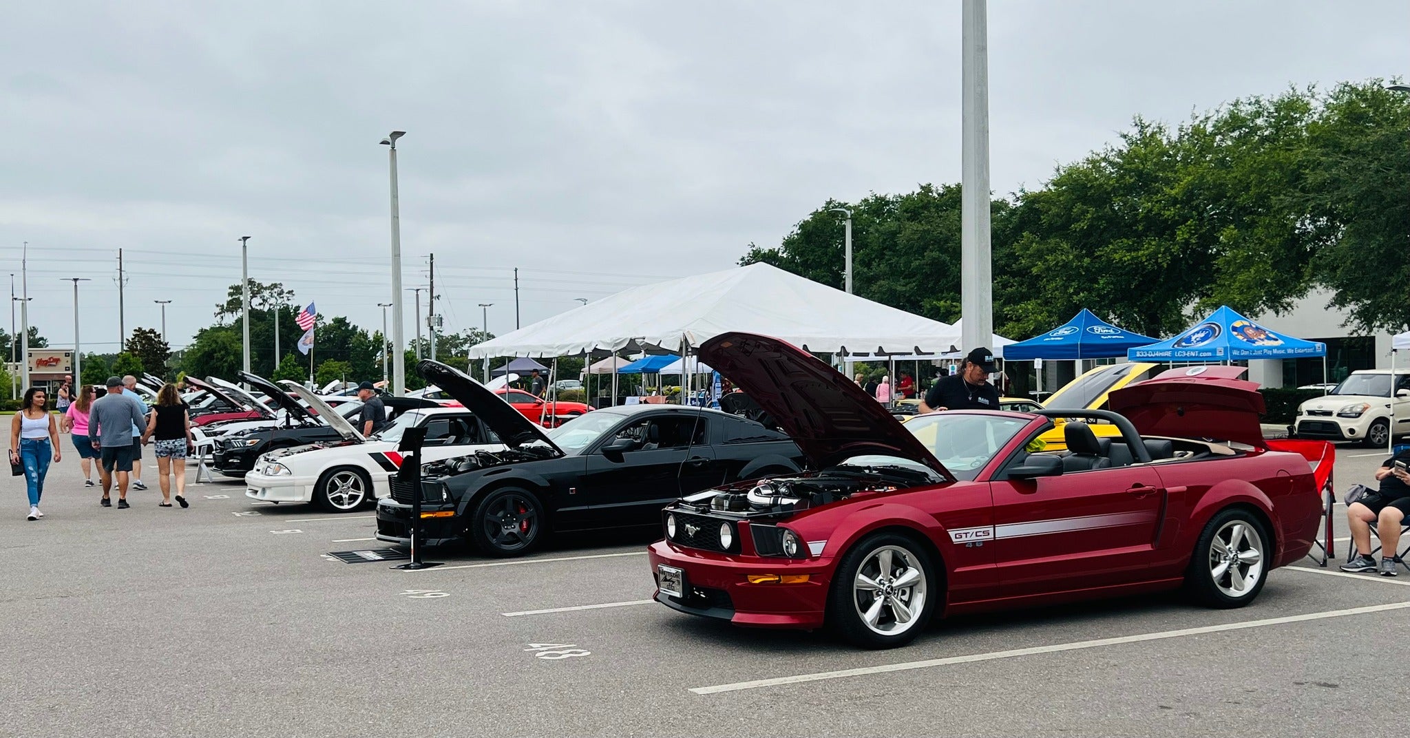 Fast & Furriest Car Show at Parks Ford of Wesley Chapel